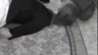 Brunet fucks naise sõber ja cum tema