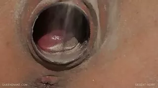 Pot-bellied mees fucks noor naine tuss raha eest voodi