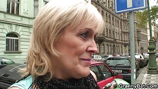 Cecilia lõvi