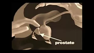 Lesbi kirgi on voodi ja samast soost hellitab aastal 69 poosi