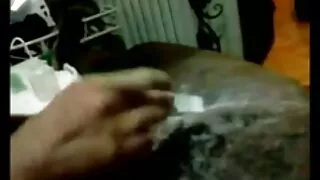 Raske seksida koletis ja kukk koolitus